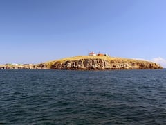 'Go F*** Yourself': Ukrainian Soldiers' Last Words To Russian Officer While Defending Snake Island