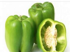 Capsicum Benefits : शिमला मिरचीचे आरोग्यदायी फायदे