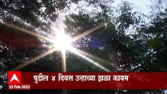 Maharashtra :  राज्यात दिवसाच्या कमाल तापमानातील वाढ कायम, पुढील 4 दिवस उन्हाचा चटका जाणवणार