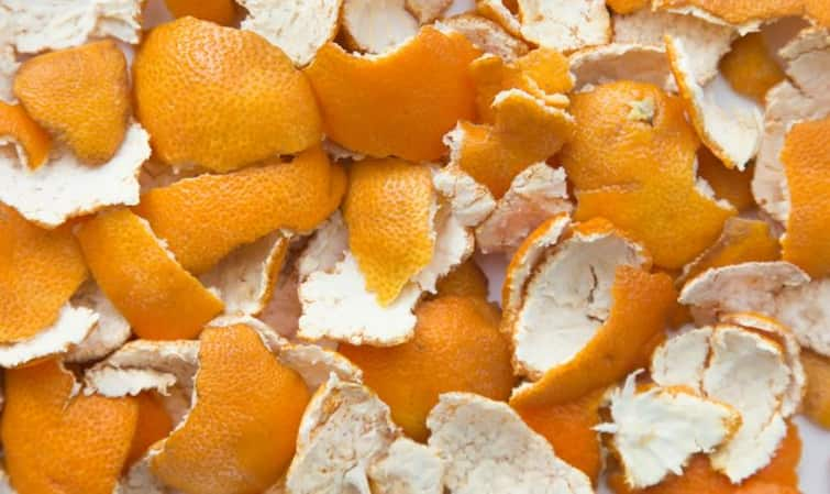 IIT Mandi researchers use orange peel derived Hydrochar for biofuel precursors check in details નારંગીની છાલથી બનશે રસોઈ, આઈઆઈટી મંડીનું રિસર્ચ