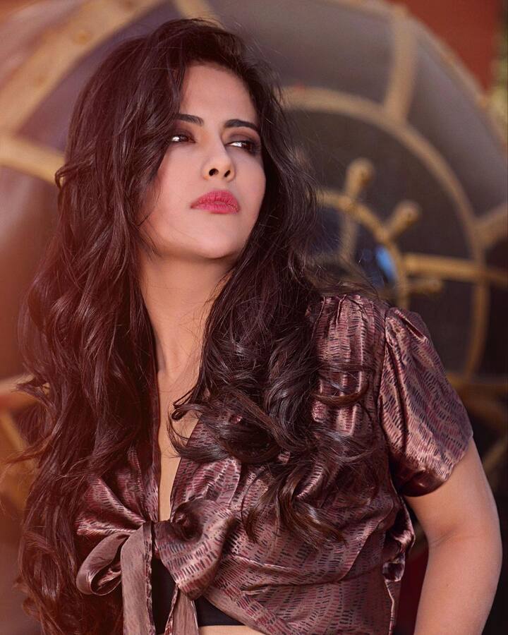 ఆఫర్లు వచ్చినా ఆశించిన స్థాయిలో సక్సెస్ అందుకోలేకపోయింది అవికా. ఈ మధ్య 'నెట్' మూవీలో నటించింది.