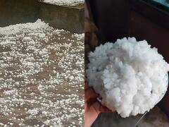 Rewari Weather News: फरवरी में छाया दिसंबर जैसा कोहरा, शाम में गिरे ओले, मौसम की मार से रेवाड़ी के किसान हुए परेशान