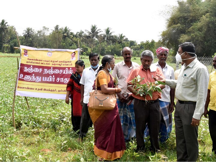 தஞ்சாவூரில் நடைபெறும் வளர்ச்சி திட்ட பணிகள் குறித்து மாவட்ட ஆட்சியர் ஆய்வு