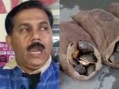 Basti News: 9 बोरों में रखे थे 305 प्रतिबंधित कछुए, इतने लाख है कीमत, GRP की टीम ने तीन महिला तस्करों को किया गिरफ्तार