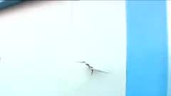 Anish Khan Death: এসপি অফিসের দরজা ভাঙচুর, ছড়িয়ে ছিটিয়ে ইটের টুকরো | Bangla News