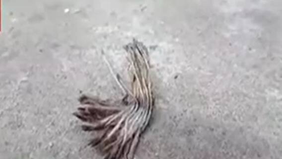 TMC vs CPIM : কামারহাটি পুরসভার সিপিএম প্রার্থীর বাড়ির সামনে বোমাবাজির অভিযোগ। Bangla News