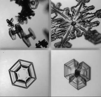 what did you see in this viral picture posted by NASA? ਤੇਜ਼ ਹੈ ਤੁਹਾਡਾ ਦਿਮਾਗ, ਤਾਂ ਦੱਸੋ NASA ਦੁਆਰਾ ਪੋਸਟ ਕੀਤੀ ਗਈ ਇਸ ਵਾਇਰਲ ਤਸਵੀਰ 'ਚ ਕੀ ਆਇਆ ਨਜ਼ਰ?