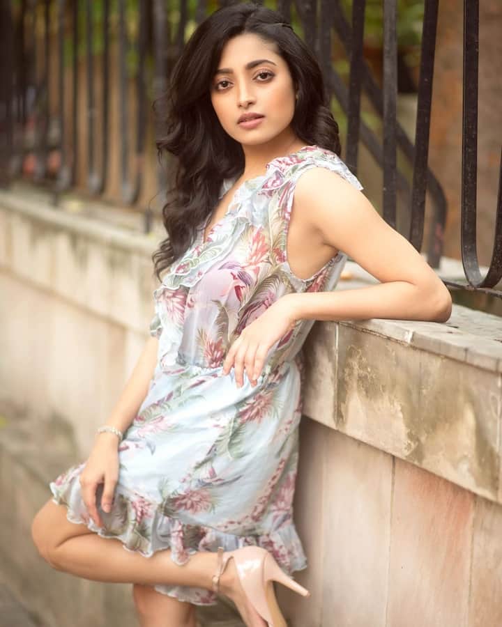বড়পর্দায় তাঁর শেষ ছবি 'গোলন্দাজ'। অভিনয় করেছেন বাংলা ছবির তারকা দেবের বিপরীতে।