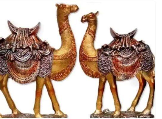 Fengshui Tip for Camel know the fengshui benefits of Camel for house in hindi ਘਰ 'ਚ ਫੇਂਗਸ਼ੁਈ ਊਠ ਰੱਖਦਿਆਂ ਹੀ ਦੂਰ ਹੁੰਦੇ ਹਨ ਲੜਾਈ ਝਗੜੇ , ਕਦੇ ਨਹੀਂ ਹੁੰਦੀ ਪੈਸੇ ਦੀ ਕਮੀ !