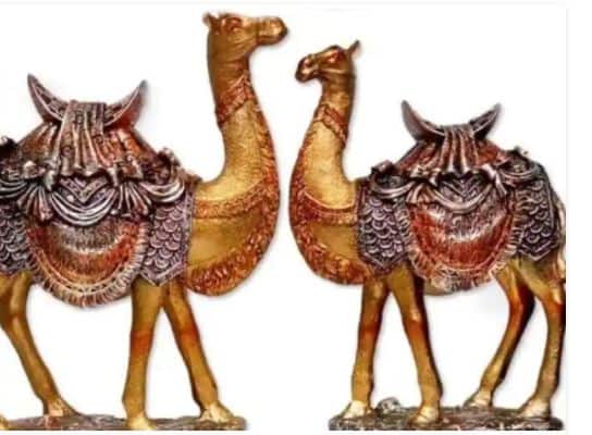 fengshui tips feng shui camel rules direction placement at home Feng Shui Tips: समस्याओं से छुटकारा दिलाता है फेंगशुई ऊंट, जानें घर में रखने के नियम