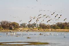 Delhi: वीकेंड में घूमने का प्लान है तो दिल्ली से नजदीक इन जगहों पर जरूर जाएं, आ जाएगा मजा, तस्वीरों से जानिए कौन-कौन सी हैं ये जगहें