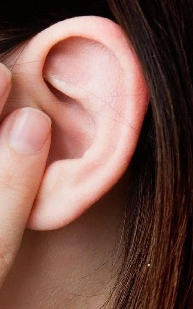 World Hearing Day 2022 Know history significance theme and importance of the day World Hearing Day 2022: உலக செவித்திறன் நாள்- உங்கள் காதுகள் ஆரோக்கியத்துடன் இருக்க இதை செய்யுங்க!