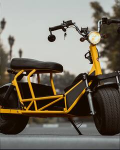 250 किलो वजन लेकर जा सकता है ये धांसू इलेक्ट्रिक स्कूटर, जानिए कितनी है कीमत