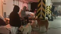 Ukraine ने ढेर किया Russia का हेलिकॉप्टर, ऑयल डिपो पर अटैक