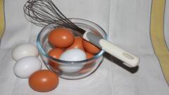 Health Tips: প্রতিদিন ২টো করে ডিম খাচ্ছেন? কী হতে পারে জানা আছে?