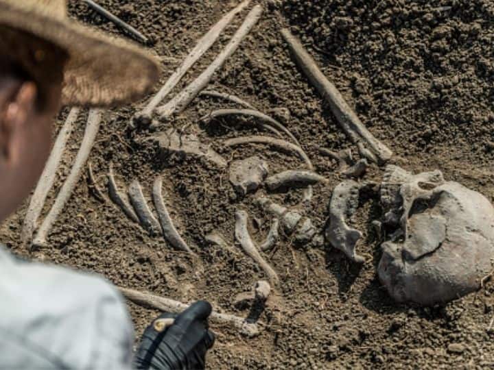 350-Year-Old Remains Of African Man Buried In Prehistoric Shell Found In Portugal. Why Is The Discovery Surprising? Know Details 350-Year-Old Remains Of African Man Buried In Prehistoric Shell Found In Portugal. Why Is The Discovery Surprising?