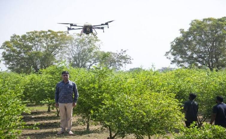 Kisan Drone: Limdi farmers uses drone for neno urea fertilizer Kisan Drone: લીંબડીના ખેડૂતે લીંબુડીના છોડ પર ડ્રોનથી કર્યો દવાનો છંટકાવ, કહી આ વાત