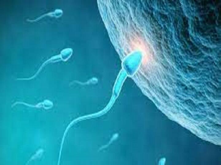 Controlling Sperm Ejaculation : விந்து வெளியேறுவதைக் கட்டுப்படுத்தினா, குழந்தை பிறப்பில் சிக்கலை ஏற்படுத்துமா? : மருத்துவர் விளக்கம்