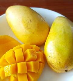 गर्मियों में हर रोज खाएं आम, दूर होंगी कई सारी समस्याएं