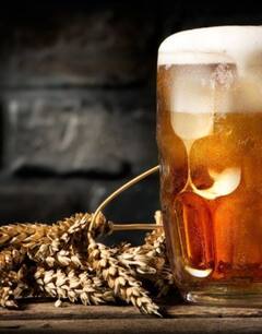 रशिया-युक्रेन युद्धाचा फटका; बीअरच्या किमती वाढण्याची शक्यता