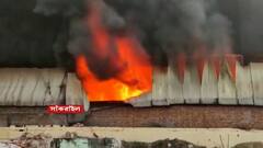 Howrah Fire: হাওড়ায় তুলোর গুদামে ভয়াবহ আগুন | Bangla News