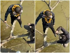 नदी के ऊपर पेड़ पर खतरनाक गेम खेलते नजर आए दो शख्स, काट रहे थे एक-दूसरे की डाल