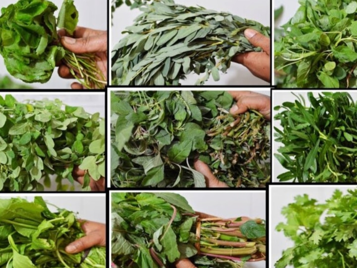 Eating Greens : கீரை சாப்பிடணும்னா அலர்ஜியா இருக்கா? இதை படிச்சதுக்கு அப்புறம் கண்டிப்பா முடிவு மாறும்..