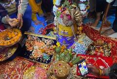 Amritsar ਦੇ ਸ਼ਿਵਾਲਾ ਮੰਦਿਰ 'ਚ ਸ਼ਿਵਰਾਤਰੀ ਮੌਕੇ ਪੁੱਜੇ ਵੱਡੀ ਗਿਣਤੀ 'ਚ ਸ਼ਰਧਾਲੂ