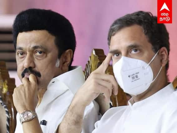 MK Stalin Speech: எவ்வளவு உயரம் சென்றாலும் நான் உங்களில் ஒருவன் தான் - முதலமைச்சரின் மாஸ் பேச்சு