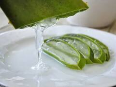 ਐਲੋਵੇਰਾ ਜੂਸ ਹਫ਼ਤੇਭਰ ਦਾ ਪਲਾਨ, ਪਾਓ ਗਲੋਇੰਗ ਸਕਿੱਨ ਤੇ ਚਮਕਦਾਰ ਵਾਲ