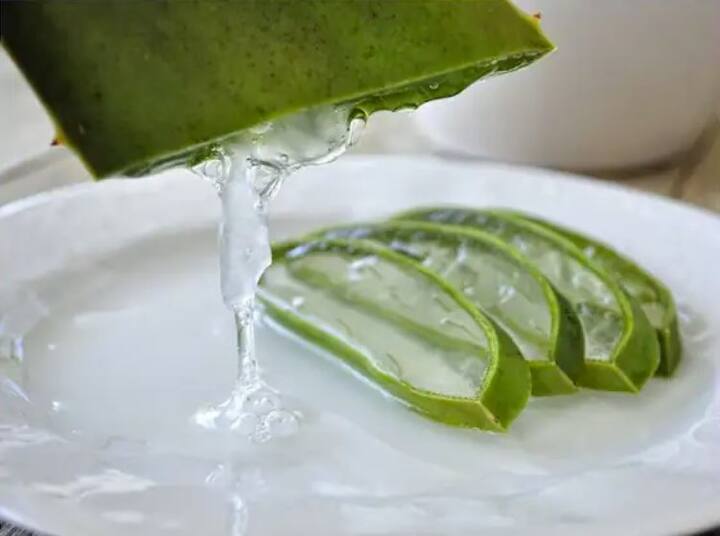 ਐਲੋਵੇਰਾ ਦਾ ਜੂਸ ਪੀਣ ਨਾਲ ਪੇਟ ਅਤੇ ਪਾਚਨ ਦੀਆਂ ਬਿਮਾਰੀਆਂ ਠੀਕ ਹੁੰਦੀਆਂ ਹਨ। ਐਲੋਵੇਰਾ ਦੀ ਵਰਤੋਂ ਕਰਨ ਨਾਲ ਤੁਹਾਨੂੰ ਕਈ ਹੈਰਾਨੀਜਨਕ ਫਾਇਦੇ ਮਿਲਣਗੇ। ਜਾਣੋ 7 ਦਿਨਾਂ ਤੱਕ ਲਗਾਤਾਰ ਐਲੋਵੇਰਾ ਜੂਸ ਪੀਣ ਦੇ ਕੀ ਫਾਇਦੇ ਹਨ।