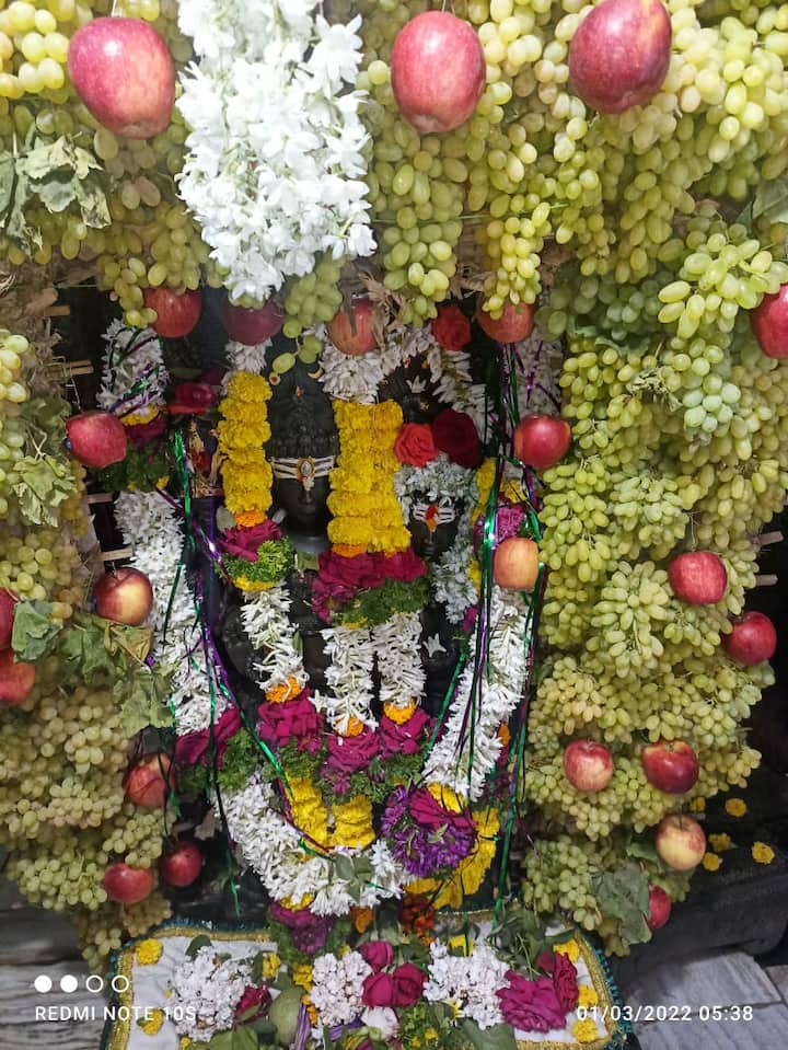 आज महाशिवरात्रीला येथे मोठी यात्रा भरत असून हजारो भाविक या महादेवाच्या अनोख्या रूपाच्या दर्शनासाठी येत असतात