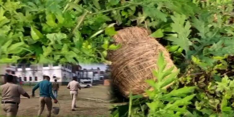 WB Muncipal Election 2022: Fresh bomb recovered from Tantubai High School ground in Shantipur WB Muncipal Election 2022:  শান্তিপুরে তন্তুবাই হাইস্কুলের মাঠে তাজা বোমা উদ্ধার