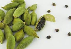 Benefits Of Cardamom: হতাশা দূর করা থেকে ক্যান্সার প্রতিরোধ ক্ষমতা, এলাচের গুণাগুণ জানলে অবাক হবেন