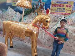 Bihar News: सपने में मिला निर्देश, अब अश्वमेघ यज्ञ कराएगा व्यवसायी, तैयार कराया है चांदी का घोड़ा, 108 आचार्य करेंगे महायज्ञ