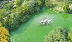 Delhi Zoo Reopens: दो महीने बाद फिर खुला दिल्ली का चिड़ियाघर, रातों-रात बिक गए सारे टिकट