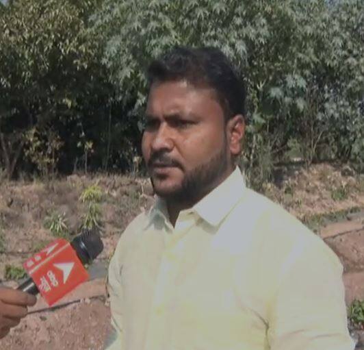 कृषी पदवीधर युवकाने फुलवला स्ट्रॉबेरीचा मळा