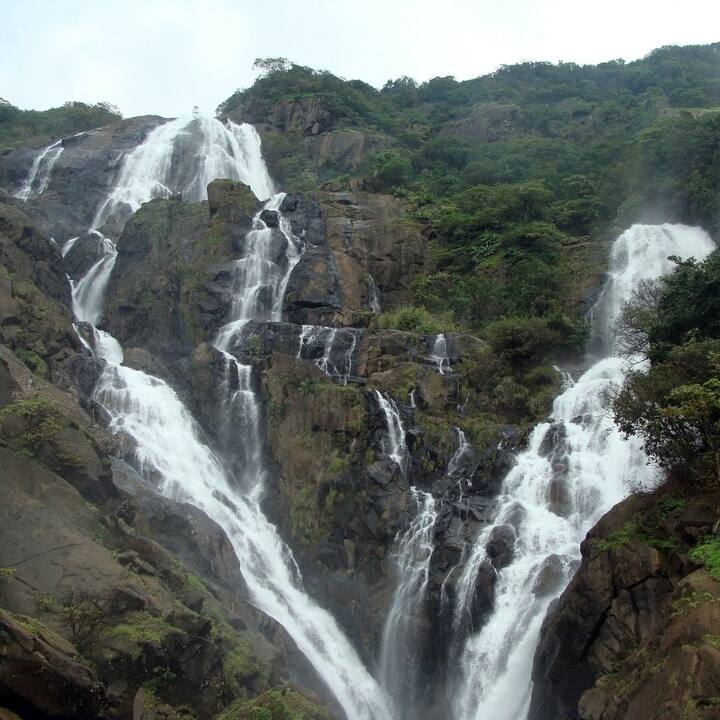 দুধসাগর জলপ্রপাত : যদি জলপ্রপাতের ক্ষমতা দেখতে চান তাহলে আপনাকে অবশ্যই দেখতে হবে গোয়ার দুধসাগর। মাণ্ডবী নদীর এই চারস্তরীয় জলপ্রপাত আপনাকে মুগ্ধ করে দেবে।(ছবি - Pixabay)