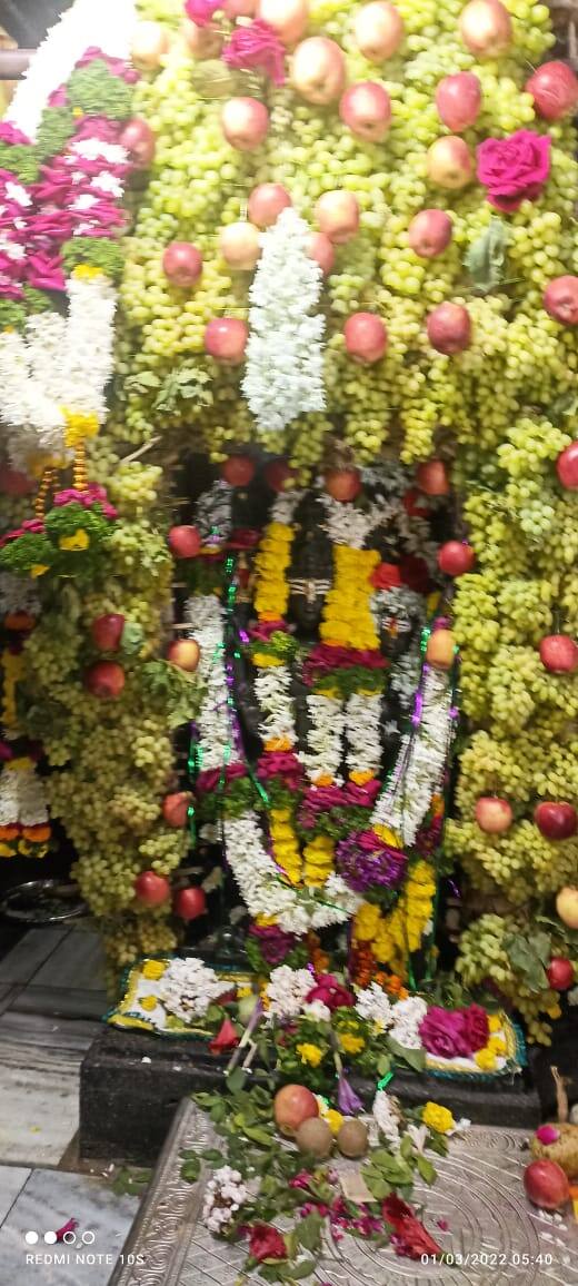 महाशिवरात्री निमित्त देशभर आणि जगभरात आज शंभू महादेवाचा उत्सव साजरा होत असताना वेळापूर येथील पुरातन अशा अर्धनारी नटेश्वर मंदिरात देखील आज हजारो भाविक येथील महादेवाच्या खास रूपाच्या दर्शनासाठी दाखल होत आहेत .