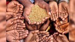 Russia Ukraine War: রাশিয়া ইউক্রেন যুদ্ধের জেরে আগামী দিনে খাদ্যসঙ্কট? বিশ্বব্যাপী পড়তে পারে প্রভাব