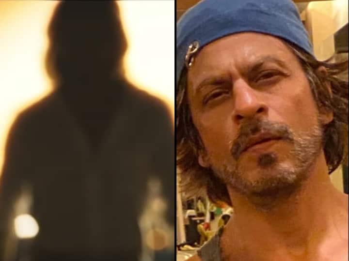 Shah rukh Khan Reveals how He Long His hair for pathaan 'पठान' के लिए शाहरुख खान ने कैसे और कितने टाइम में लंबे किए बाल? किंग ख़ान बोले 'घर की खेती है'