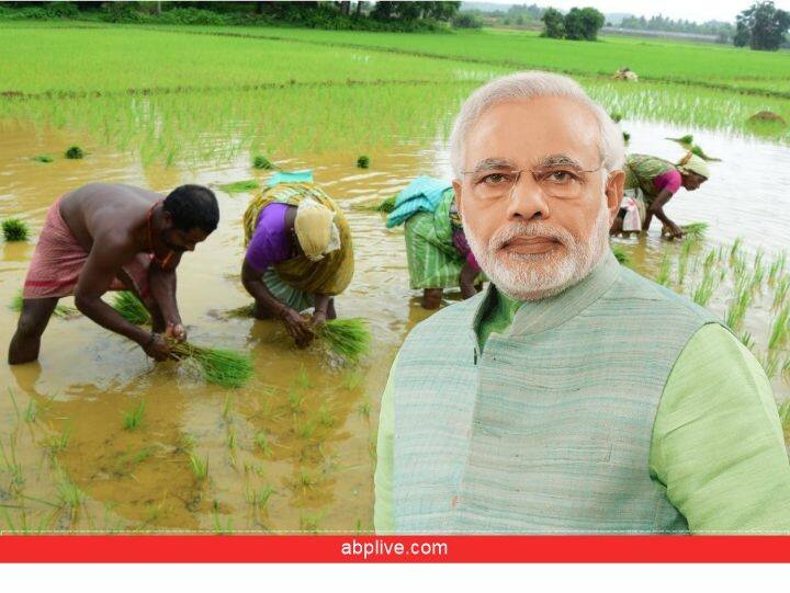 PM Fasal Bima Yojana Modi Government started new scheme of Meri Policy Mere Haath Yojana for scheme documents 'मेरी पॉलिसी मेरे हाथ' योजना के तहत किसानों के घर तक पहुंचेगा फसल बीमा योजना के दस्तावेज, मिलेंगे कई फायदे