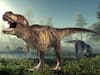 King, Queen, Emperor: The 3 Different Dinosaur Species Of T. rex. All About It