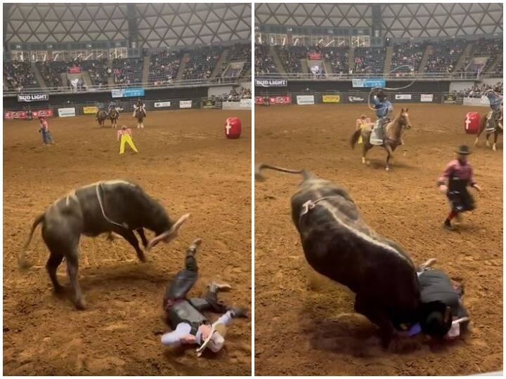 To save son from angry bull father jumped in front of him  गुस्साए बैल से बेटे को बचाने के लिए उसके आगे कूद पड़ा पिता, रोंगटे खड़े कर देगा वीडियो