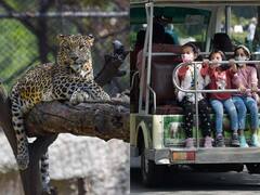 Delhi Zoo Reopens: दिल्ली का चिड़ियाघर फिर से हुआ गुलजार, देखें लेटेस्ट तस्वीरें