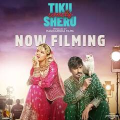 ਰੂਬੀਨਾ ਤੋਂ ਅਵਨੀਤ ਕੌਰ ਤੱਕ...ਇਸ ਸਾਲ ਬੌਲੀਵੁੱਡ 'ਚ ਡੈਬਿਊ ਕਰਨ ਜਾ ਰਹੇ ਇਹ ਟੀਵੀ ਸਿਤਾਰੇ