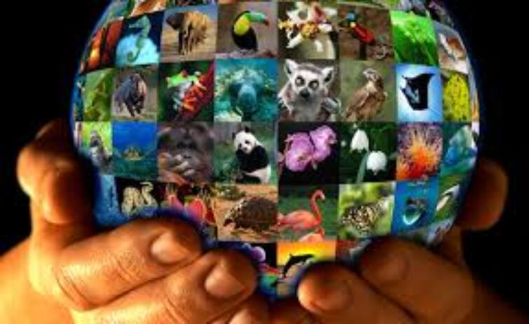 World wildlife Day 2022 Recovering key species for ecosystem restoration World wildlife Day: அழிவின் விளிம்பில் வன உயிரினங்கள்! மானுடம் மீட்க வனங்களைக் காப்போம்! சர்வதேச வன உயிரின தினம் இன்று!