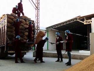 Russia Ukraine Conflict : रशिया-युक्रेन युद्धाची झळ विदर्भातील व्यापार उद्योगांना; कोट्यवधी रुपये अडकले