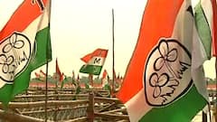 WB Municipal Elections Result: একাই ১০২, জয়ের ধারা অব্যাহত তৃণমূলের, রাজ্যজুড়ে সবুজ ঝড়