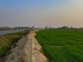 Haryana Farmers: ਬੇਮੌਸਮੀ ਬਾਰਿਸ਼ ਕਾਰਨ ਖ਼ਰਾਬ ਹੋਈ ਫਸਲ ਦਾ ਚਾਰ ਜ਼ਿਲ੍ਹਿਆਂ ਦੇ 15,655 ਕਿਸਾਨਾਂ ਨੂੰ ਮਿਲਿਆ ਮੁਆਵਜ਼ਾ